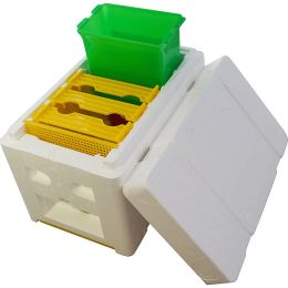 Supplies 18 unités Nouveau modèle mini nucs en gros en gros mini ruche de mate avec des cadres en plastique Pollinisation de l'alimentation amovible Bo