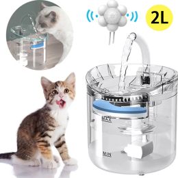 Fournitures 2L Filtre de fontaine d'eau pour chat Abreuvoir automatique à capteur intelligent pour mangeoire pour chats Distributeur d'eau pour animaux de compagnie Fontaine à boire automatique pour chats
