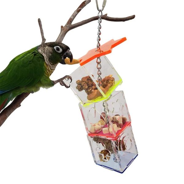 Fournitures 3 couches perroquet suspendu jouet d'alimentation à mâcher alimentation des oiseaux support de distributeur de nourriture Transparent boîte en forme d'étoile Cage jouet Vogel Speelgoed