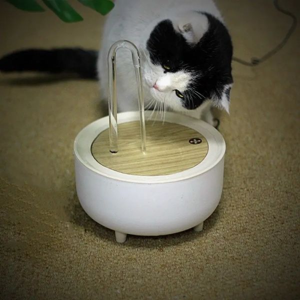 Suministros Filtro automático de fuente de agua para gatos 2000ml USB eléctrico silencioso tazón de bebida para mascotas dispensador de bebidas para mascotas bebedero para gatos filtro de agua