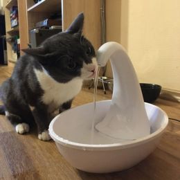 Supplies Automatique Swan Pet Cat Dispensateur Nourrissant Eauter Fountain Fountaine pour chat Dissiver Electric Water Dispensver Pet Cat Bown Bowl