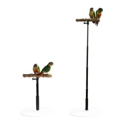 Supplies Bird Stand en bois support de bureau pour oiseau pour animaux