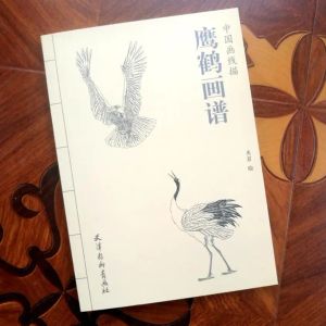 Supplies Chinese Water Ink Painting Eagle and Crane Sketch Brush Brush Ink Art Tattoo Reference Livre