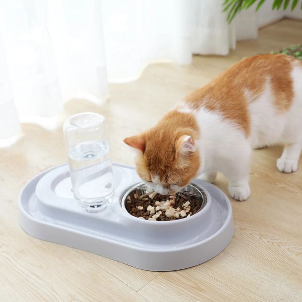 Fournitures HOOPET Bol d'alimentation automatique pour chat Distributeur d'eau pour animaux de compagnie Chaton Fontaine à boire Plat de nourriture Produits pour animaux de compagnie Économiser de la nourriture Bol pour chien Fournisseurs