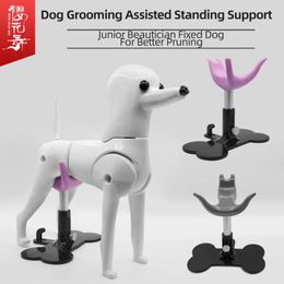 Fournitures échelle magique MOTI chien support debout assisté réglable en hauteur animal de compagnie amour petit banc toiletteur siège de chien fixe