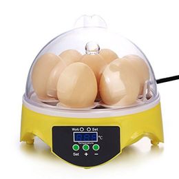 Fournitures Mini 7 incubateur d'oeufs incubateur de volaille couveuse contrôle numérique de la température incubateur d'oeufs couveuse pour outils de ferme d'oeufs d'oiseau de poulet