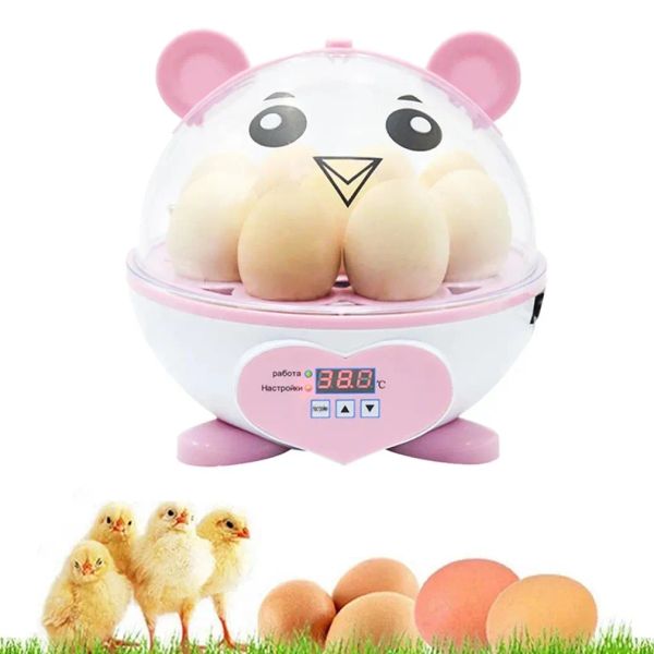 Fournitures Mini 9 oeufs incubateur incubateur outil de couveuse manuel oeuf tournant poulet canard caille oiseaux incubateur d'oeufs volaille couvoir Machine