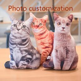 Fournitures New Hot Photo personnalisation chat bricolage coussins Simulation 3D cadeau créatif chiens oreiller jouets en peluche poupées chats en peluche livraison directe