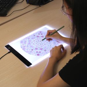 Benodigdheden Nieuw LED-verlicht kopieerbord licht Pad Tekening Tablet Tracing Pad Schetsboek Leeg canvas voor schilderen Kleurpotlood Acrylverf