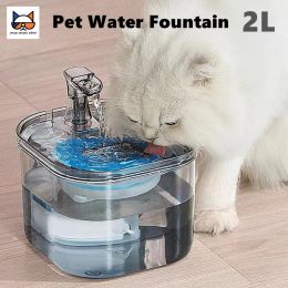 Fournitures pour animaux de compagnie automatique fontaine d'eau chauffage constant 2L visuel chats chiens distributeur d'eau à induction avec filtre capteur de mouvement USB bol intelligent