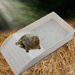 Suministra tortugas alimentos plato reptil tortuga anfibia tazón de alimentación con rampa escorpión lagarto dispensador de agua hábitat plataforma de alimentos lagarto