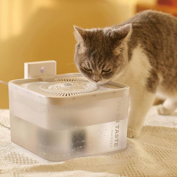 Fournitures Câble USB/Fontaine d'eau pour chat à piles Capteur de mouvement Distributeur de chien Filtre Abreuvoir automatique Transparent Animaux Chats Mangeoire