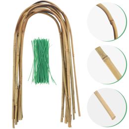 Support en treillis de bambou pour plantes d'intérieur grimpantes, accessoires pour plantes d'intérieur Monstera, petit 240322