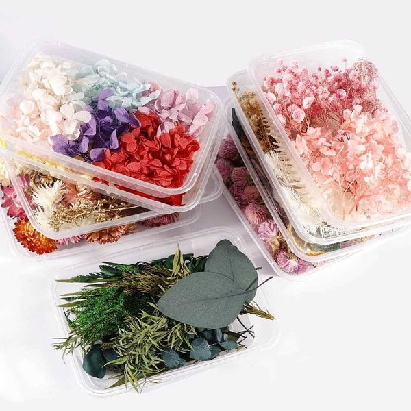 Soporte para materia prima personalizada Flores secas Marco de fotos hecho a mano Vela Diy 1 caja Materiales de flores secas