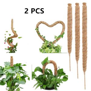 Ondersteunt 2 pc's Bendable Plant Support Sticks kokos Stick voor klimplanten Monstera Moss Pole 90 cm Plant Stake Garden Pots Planters