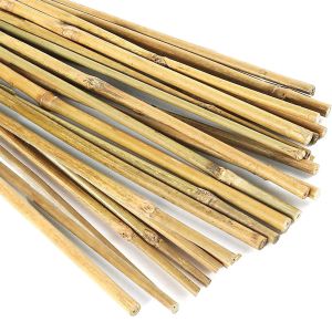 Prend en charge 20 PCS PLANTES BAMBO BAMBO Sticks Plant Sturdy Pleutant Fixation Pleep pour les plantes en pot du jardin Utilisation