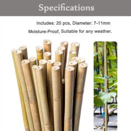 Soutient 20 pcs de soutien de la plante avec adhésif pavé naturel jardin bambou bâton plante Plan de plante à la main des bâtons de jardin faits à la main pour