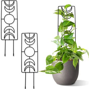 Ondersteunt 2PC Outdoor Iron Stake Stand Wijnrek Bloem Groenten Kunst Metalen Klimrek Bevestigingsstang Plant Ondersteuning Plant Klimmen Houder