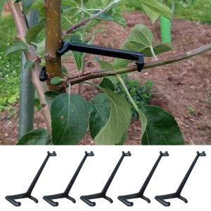 Prend en charge 30pcs Garden Fruit Tree Branch Spreneur de membres pour une forte propagation des angles d'entrejambe Branches de support