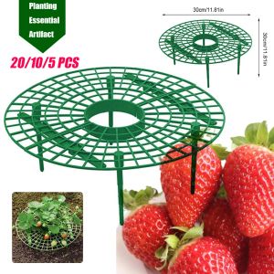 Ondersteunt 5/10/20 PCS Aardbei Stand Frame Houder Balkon Plantenrek Fruit Ondersteuning Plant Bloem Klimmen Wijnstok Pijler Tuinieren Stand