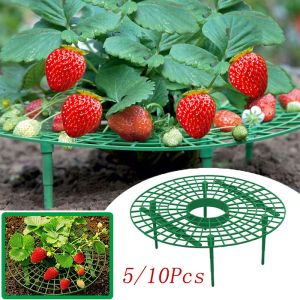 Prend en charge 5/10pcs Plant de plantation de fraises Plant Plant Protection de protection Attache des légumes pour jardin Grawhouse Balconal Accessoires Supplies