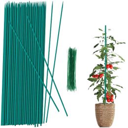Ondersteunt 50 stks plantensteunstokken tuinstakken houten groene bamboe sticks voor tuin potplant staaf tomaten trellis stakes
