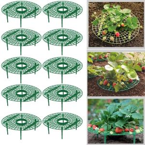 Soutien des supports de fraises de 520 packs en conservant les outils de jardin de la plante du support de la plante pour protéger les vignes éviter le sol