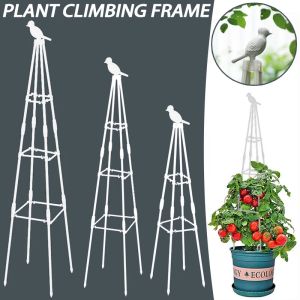 Supports Plante Grimpante Treillis Jardin Extérieur Tomate Support Cages pour Fleurs Plantes Support Support Escalade Fleurs Bricolage Vignes Pot Cadre