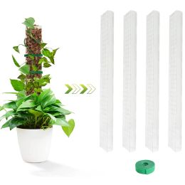 Ondersteunt nieuw planten klimframe mos stok binnen planten ondersteuning verlengstick voor planten indoor tuingebruik