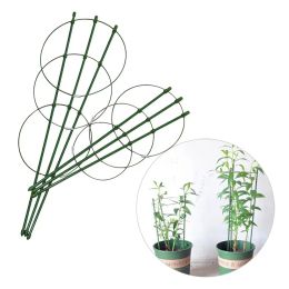 Supports Cadre de Support de Plante en Acier Enduit de Plastique 45 cm/60 cm Support de Vigne grimpante Support décoratif Durable créatif de légumes de Fleur 5 pièces