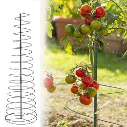Supports Plante en spirale Support de tomate extensible Cage Plante grimpante Tour de piquet Plantes en pot Rose Orchidée Lily Dahlia Clématite