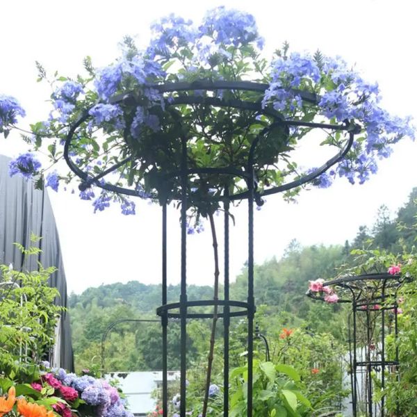 Soportes Enrejado de jardín vertical Paraguas creativo Enrejado de flores Planta Marco de soporte en maceta para vides Tomates Guisantes Otras plantas vivas