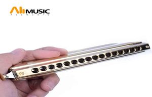 Swan Chromatic Harmonica Senior 16643 Serie Golden Harmonica C Key Mouth Harp Orp Musical Instrument2013195