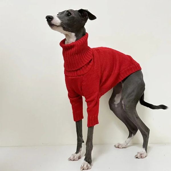 Pulls italien Greyhound Vêtements chiens Pull Whippet Coutre-coulé rouge Pull tricoté pour les lévriers pour les lévriers Pull pour animaux