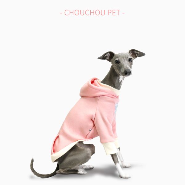 Suéteres Rosa galgo italiano primavera nueva sudadera marrón con capucha más ropa deportiva cálida de terciopelo para mascotas ropa para perros Whippet