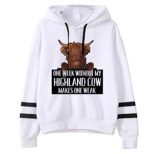 Sweatshirts Highland Cow Hoodies Femmes