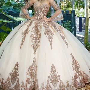 Doux 16 Rose Princesse Quinceanera Robes Manches Longues Tulle Formelle Pageant Robe De Bal pour Filles Vestidos De Anos Robe Ivoire
