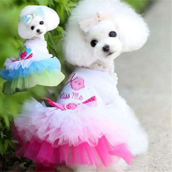 Sweyy Pet Jirt pour chien chat mode robe chiot mignon dentelle de dentelle de la princesse petite vêtements 240328