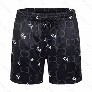 Zwemshorts Ontwerpers Broeken Shorts Zomermode Straatkleding Sneldrogend Zwemkleding Printplaat Strand Heren S Short240z