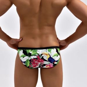 Traje de baño Traje de baño de cintura baja caliente Calzoncillos de baño para hombres Trajes de baño para hombre sexy Troncos de natación Bañadores para hombre joven Traje de baño corto para surfear