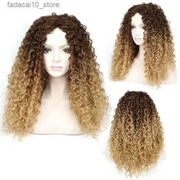 Perruques synthétiques à haute température longue mixte Brown Curly Africa Synthétique Fibre Wig For Womens Christmas Halloween Cosplay Costume Party Wigs Q240115
