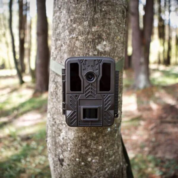 Système SunGusoutDoors 4K Ultra HD 32MP Trail Camera Sans Glow 940 LEDS INFRARED WILD CAME CAME PIPS POUR LA CAME DE SÉCURITÉ À LA MAIS