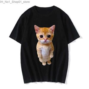 T-shirts drôle chat impression 3D femmes T-Shirt style décontracté femmes hommes été Harajuku T-shirts fille garçon décontracté mode vêtements Q240218