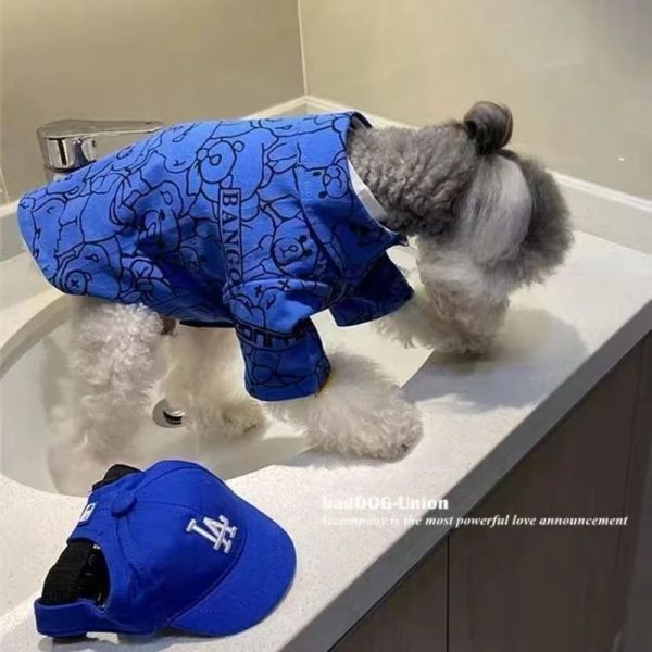 T-shirts Pet Dog Clothes Klein Blue Shirts For Dogs Vêtements Cat Small Bear Imprimé mignon mince Spring Summer Fashion Boy Boy Produits Pet 2023