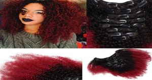 T1b Rouge Ombre Clip Dans Les Extensions De Cheveux Humains Afro Crépus Bouclés Pour Les Femmes Noires Deux Tons Brésiliens Vierge Cheveux Clip Ins 100g 7pcs81592241294