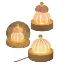 Lampes de table lumières décoratives coquille avec fonction LED 7cm lampe de chevet veilleuse