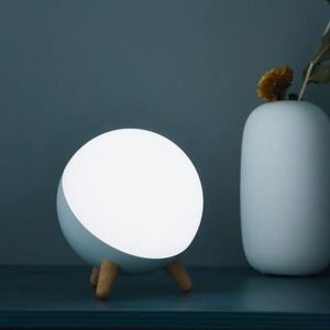 Tafellampen DS305 LED Multipurponpos Fantasy Nightlight Lamp