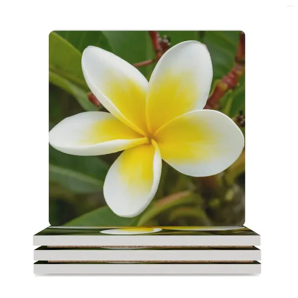 Alfombras de mesa blanca tropical - flor frangipani | PLUMERIA Flower Ceramic Coasters (cuadrado) Copa linda Kawaii