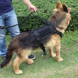 Gilet tactique imperméable pour chien de chasse, 2 pièces/ensemble, harnais en tissu Molle respirant pour l'extérieur avec laisse, taille réglable