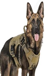 Harnais de chien tactique K9 Working Dog Vest Nylon Bungee Leash Lead Training Running For Medium Grand Dogs Shepherd4610431